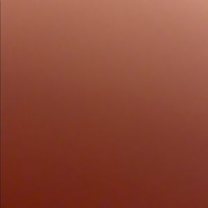 Meet your Posher, Janeane